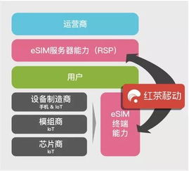 eSIM連接技術 大數據服務的攪局者還是推動者？